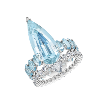 R58-FD-004-6 Кольцо (750)