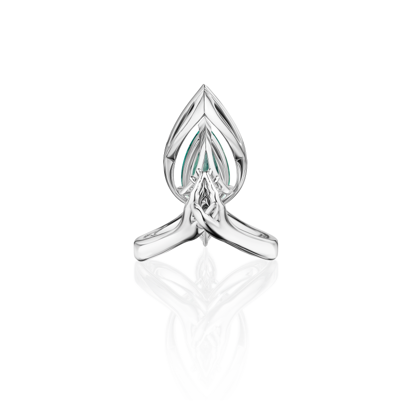 R05-SM-003-6 Кольцо (750)