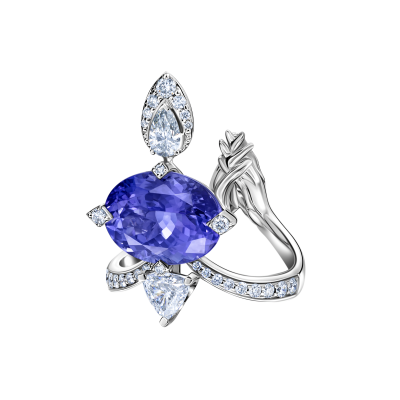 R08-SM-019-6 Кольцо (750)