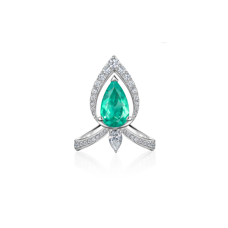 R05-SM-003-6 Кольцо (750)