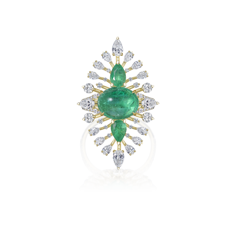 R35-FD-003-5 Кольцо (750)