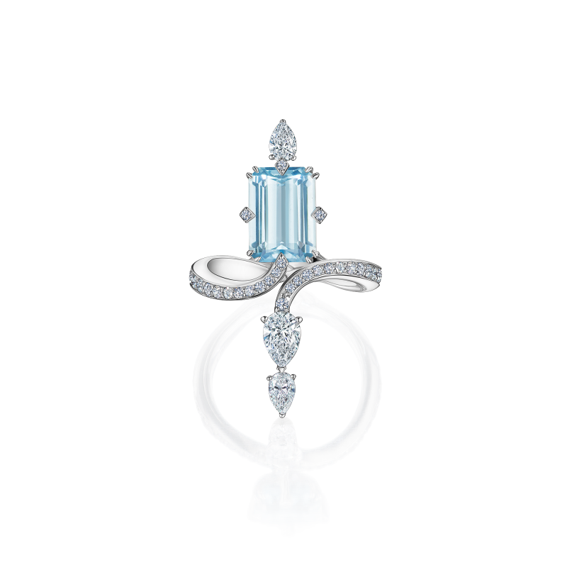 R02-SM-004-6 Кольцо (750)