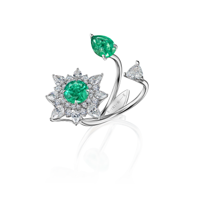 R26-FD-003-6 Кольцо (750)