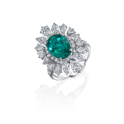 R10-FD-003-6 Кольцо (750)